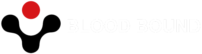 Boxify Logo